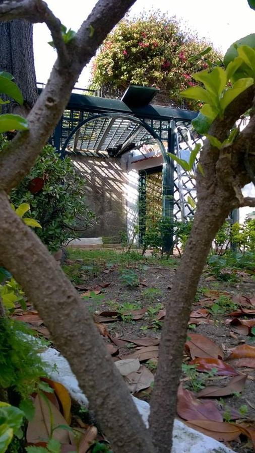 Villa Iscla Maison D'Hotes Ίσκια Εξωτερικό φωτογραφία