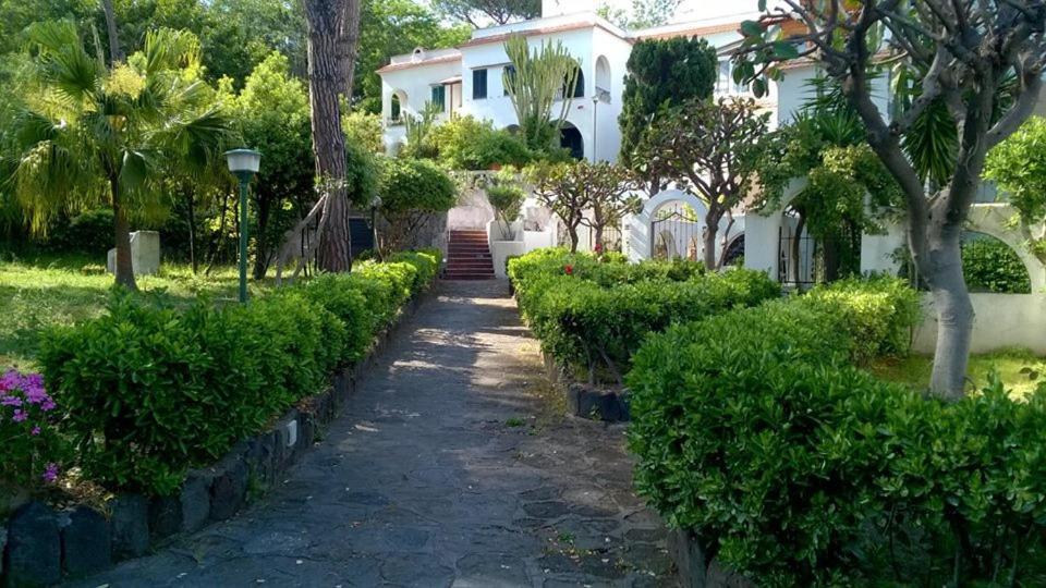 Villa Iscla Maison D'Hotes Ίσκια Εξωτερικό φωτογραφία